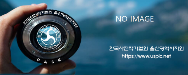 b91449dc6861c8a3ced355aa1f6d20cd_1721038612_2499.png